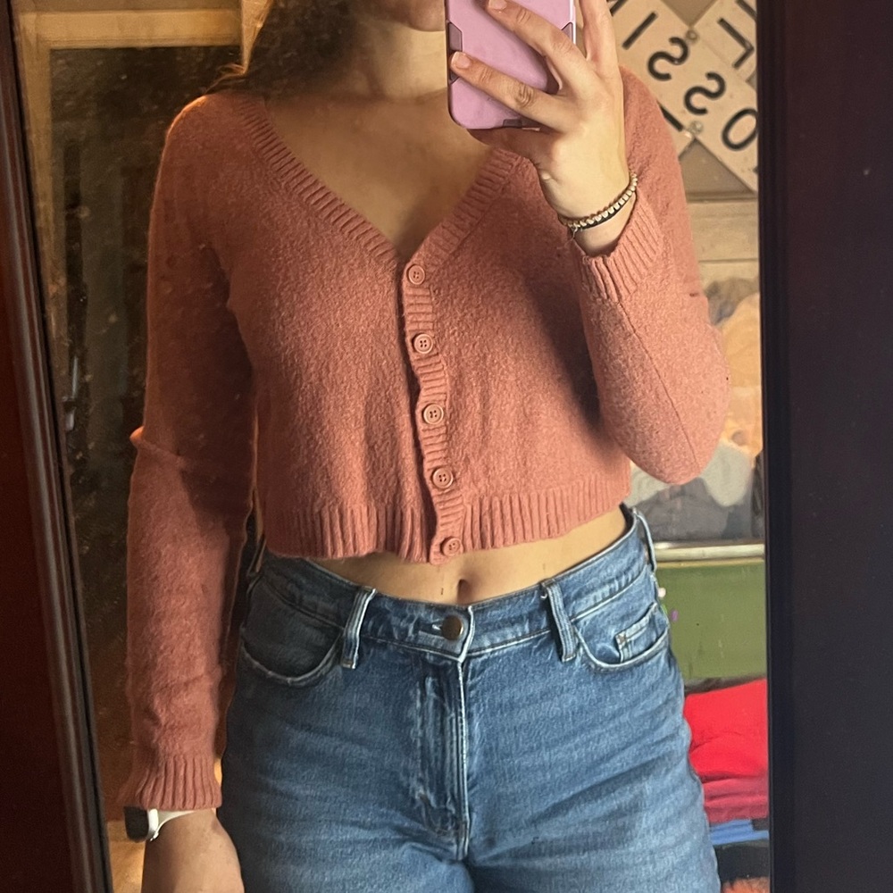 American Eagle Outfitters Rust Cropped Cardigan